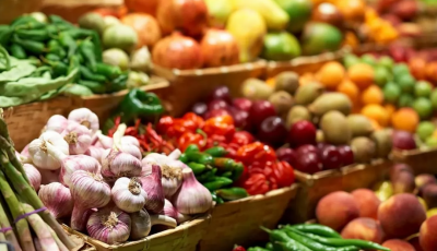 Фермери дали прогноз щодо врожаю та цін на агропродукцію у 2023 році