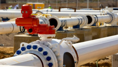 Економія газу в Німеччині занадто низька - енергетичний регулятор