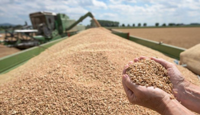 Украина готовит план Б на случай продолжения блокады зерновых портов
