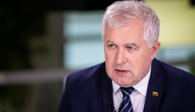 Міністр оборони Литви відповів на критику Науседи щодо браку уваги до дронів