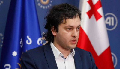 Прем'єр Грузії вважає, що пом'якшення закону про 