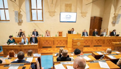 Сенат Чехии признал геноцидом преступления России в Украине