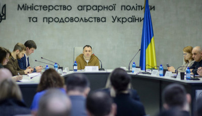 Кабмін відновить програму 