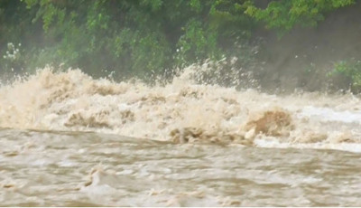 Понад 20 туристів з дітьми потрапили у водяну пастку в Карпатах, рятувальники працювали цілу ніч