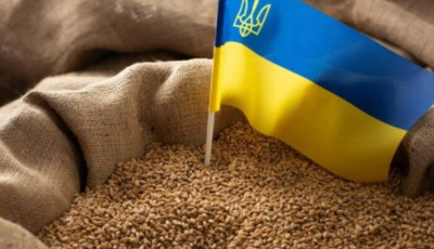 Україна у новому сезоні експортувала 7,2 мільйона тонн зернових